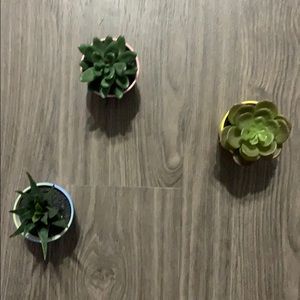 3 Faux Plants